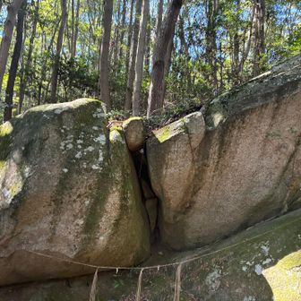 境ヶタワへの下山の前に、妙見ルートを少し下った所にある「山の神」（女岩）にお詣り。
　トレイルラン神社まで戻り、矢掛町と総社市の境界尾根を境ヶタワを目指して降ります。