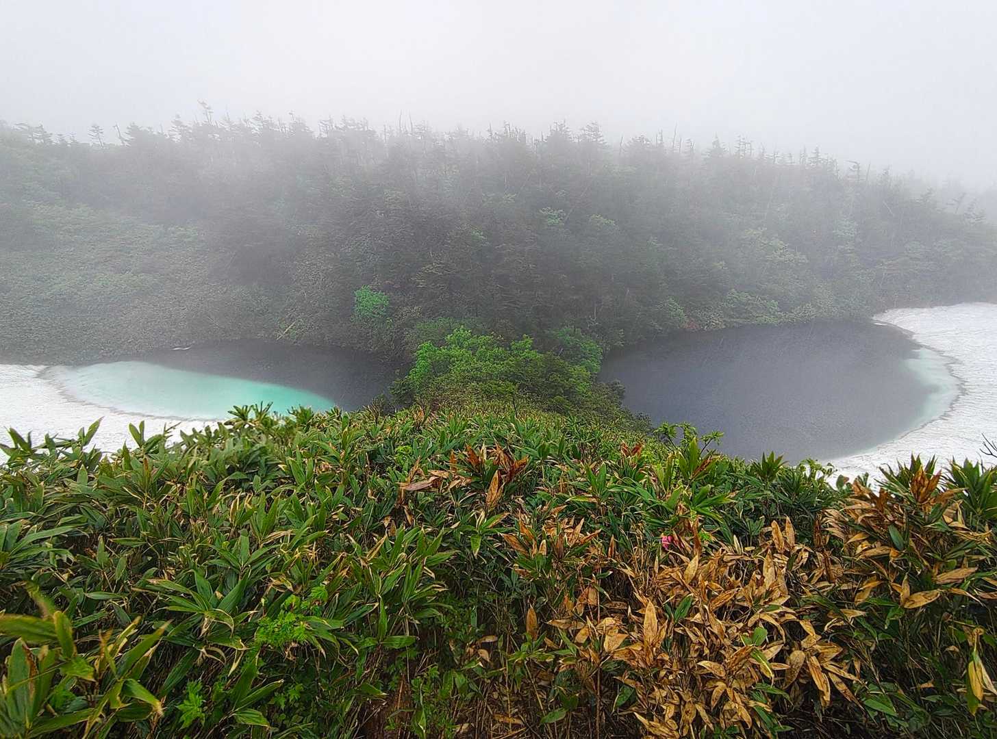 八幡平登山口-めがね沼 往復コースの写真