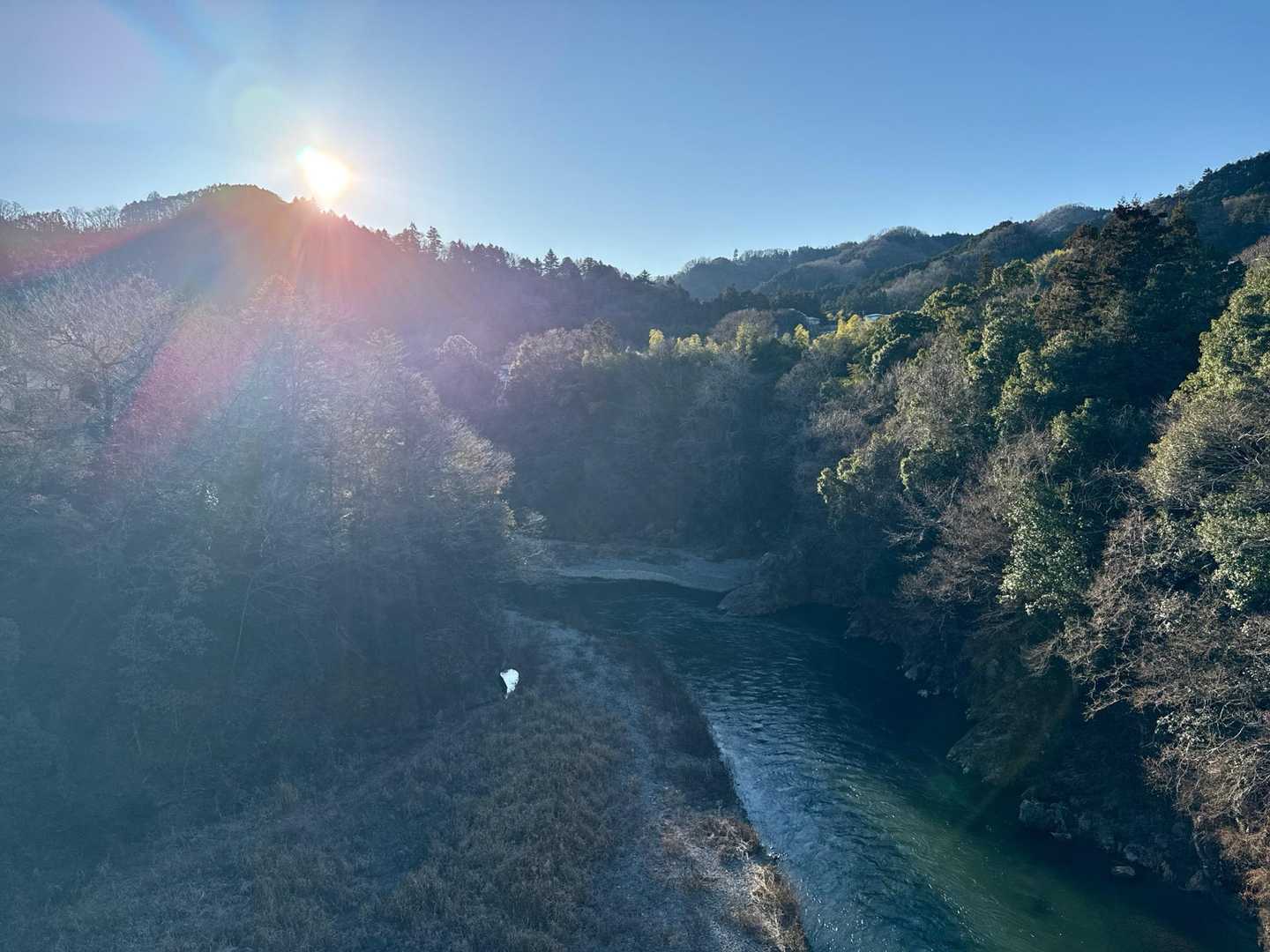 朝日が清々しい