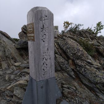 千枚岳。丸山から千枚岳までは、はしごがあったり登り下りが意外と険しい