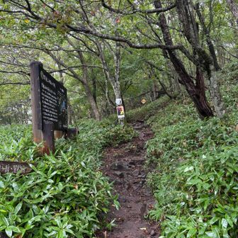 登山口