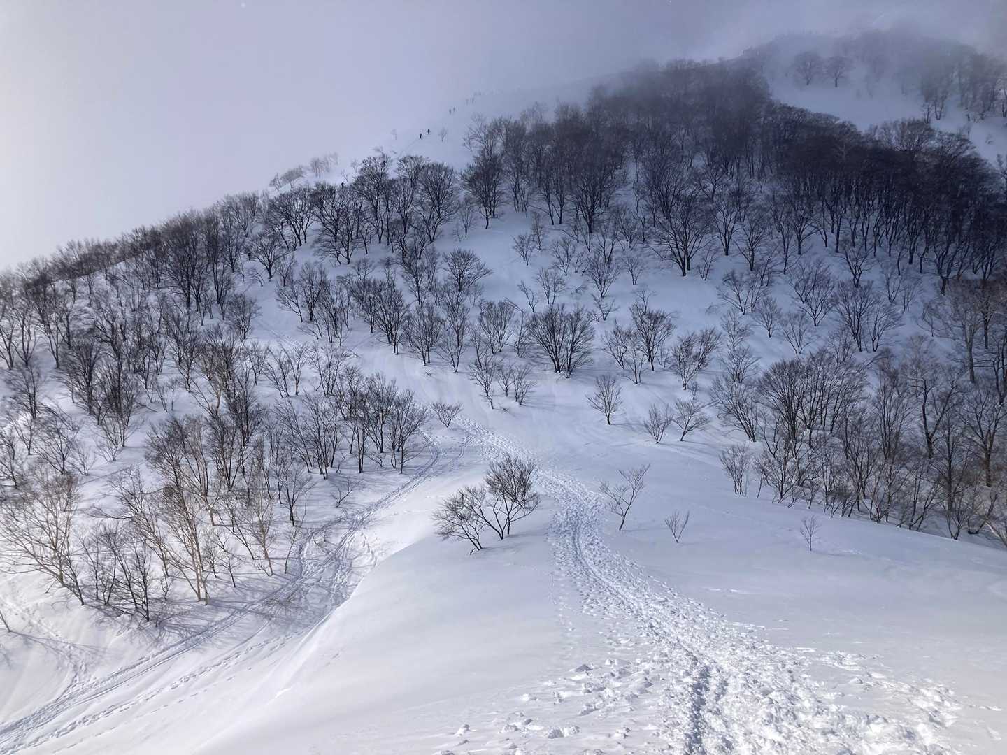 遠くの尾根に先行の人達
