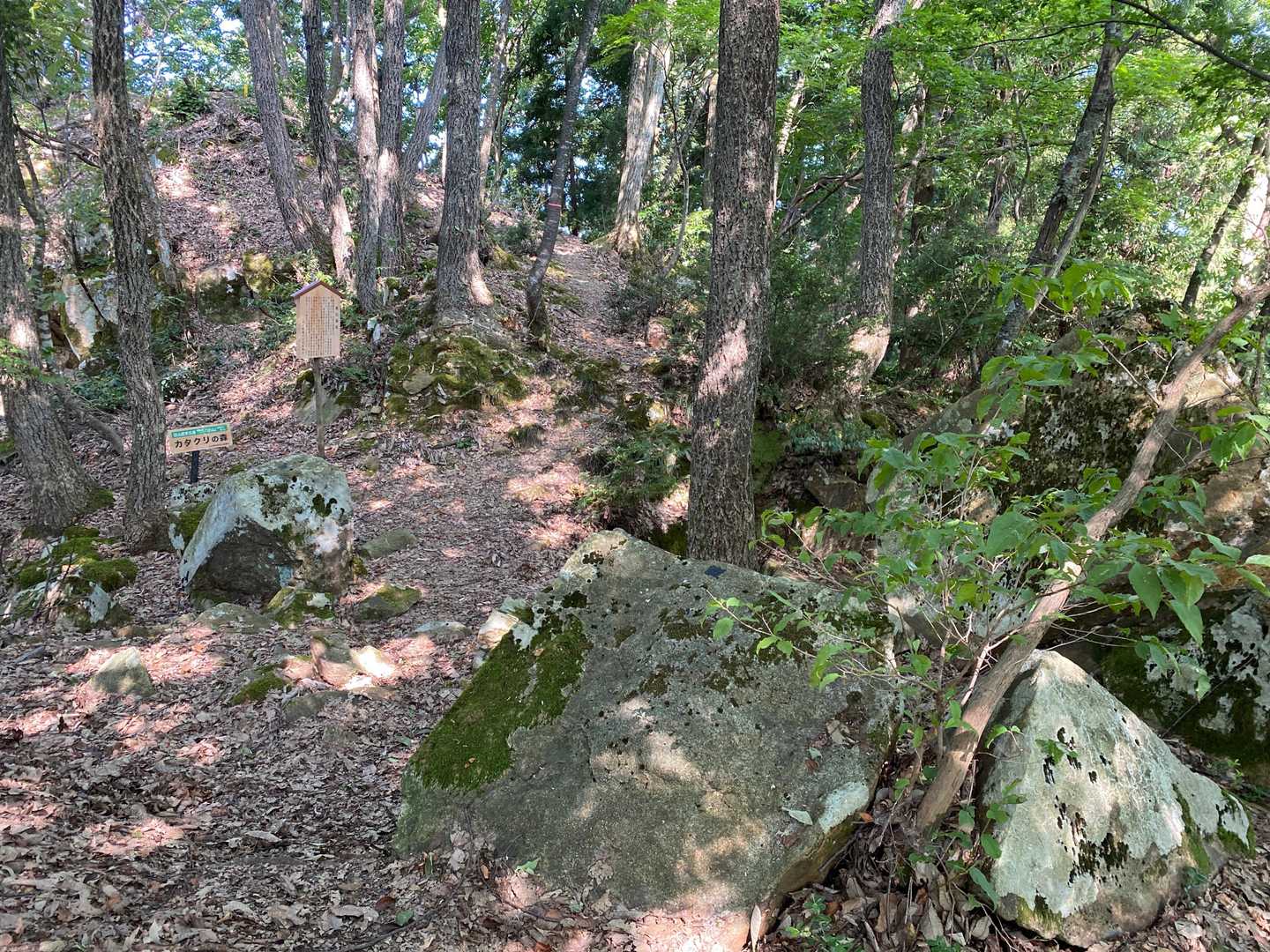 帆山城址。岩ゴロゴロ