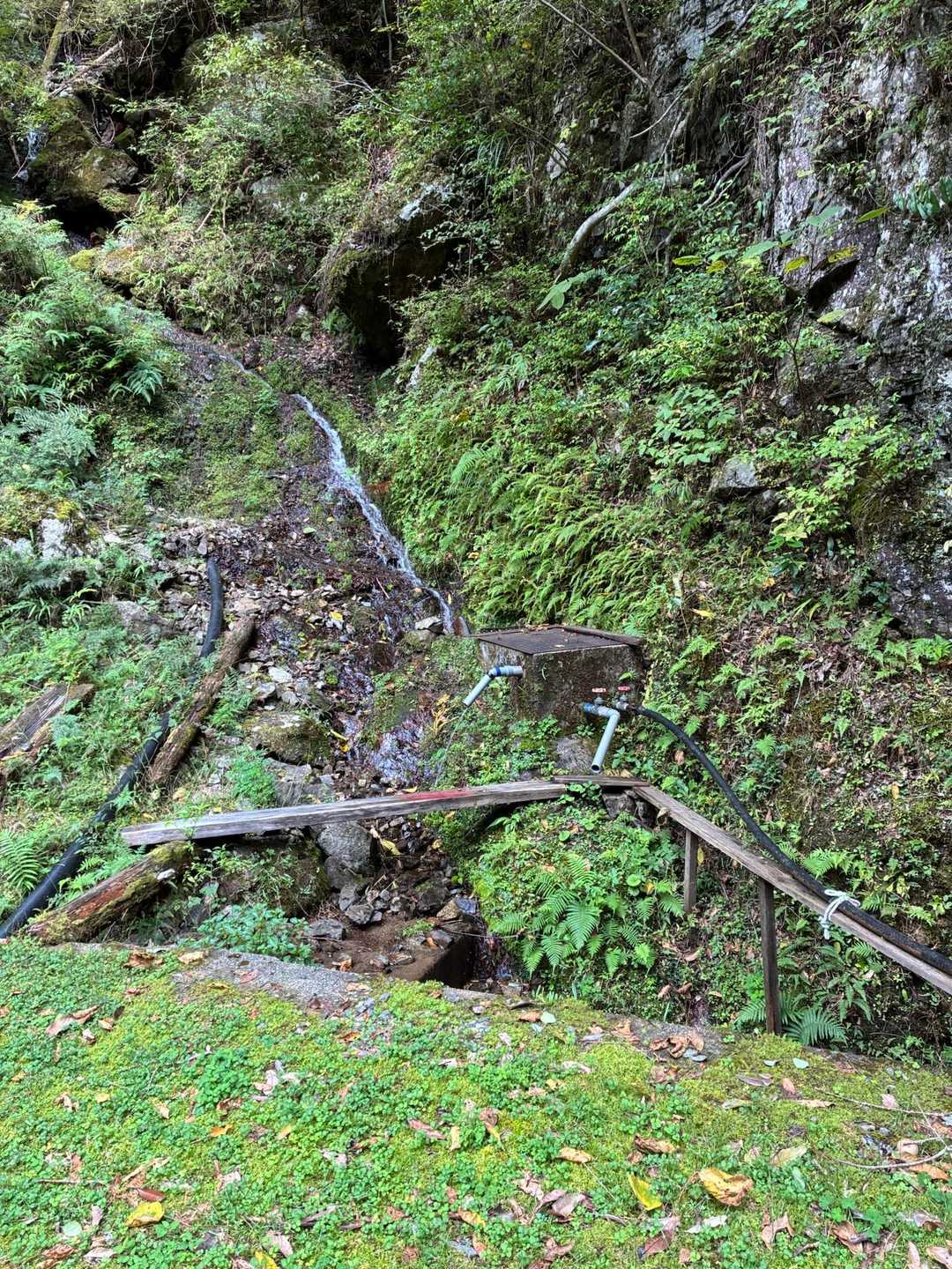 水場あり⛲️
下山後、🩴洗えるってありがたいですね🎵