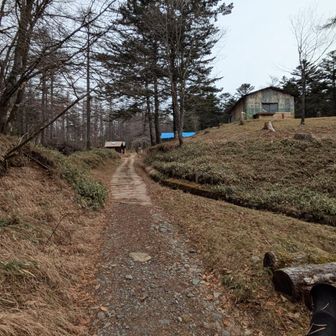 ヤブ沢峠からは軽トラなら通れそうな道で笠取小屋に着きました