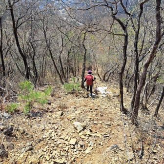 ロープが張られている
急なザレザレの下り。