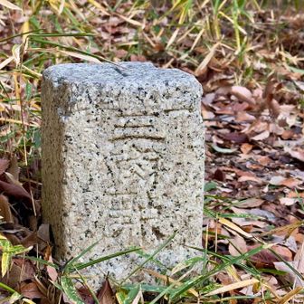 いつもの二等三角点　
点名：八幡(はちまん) 142.48m