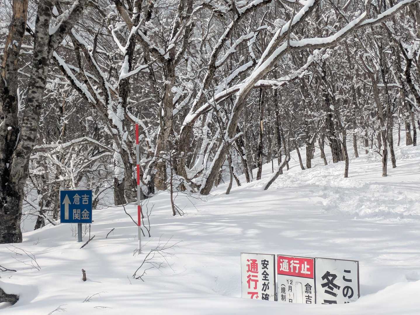 帰ってきた〜✨️