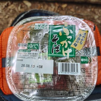 今日はぶっかけそば。涼しいから温かいのでもよかったなー