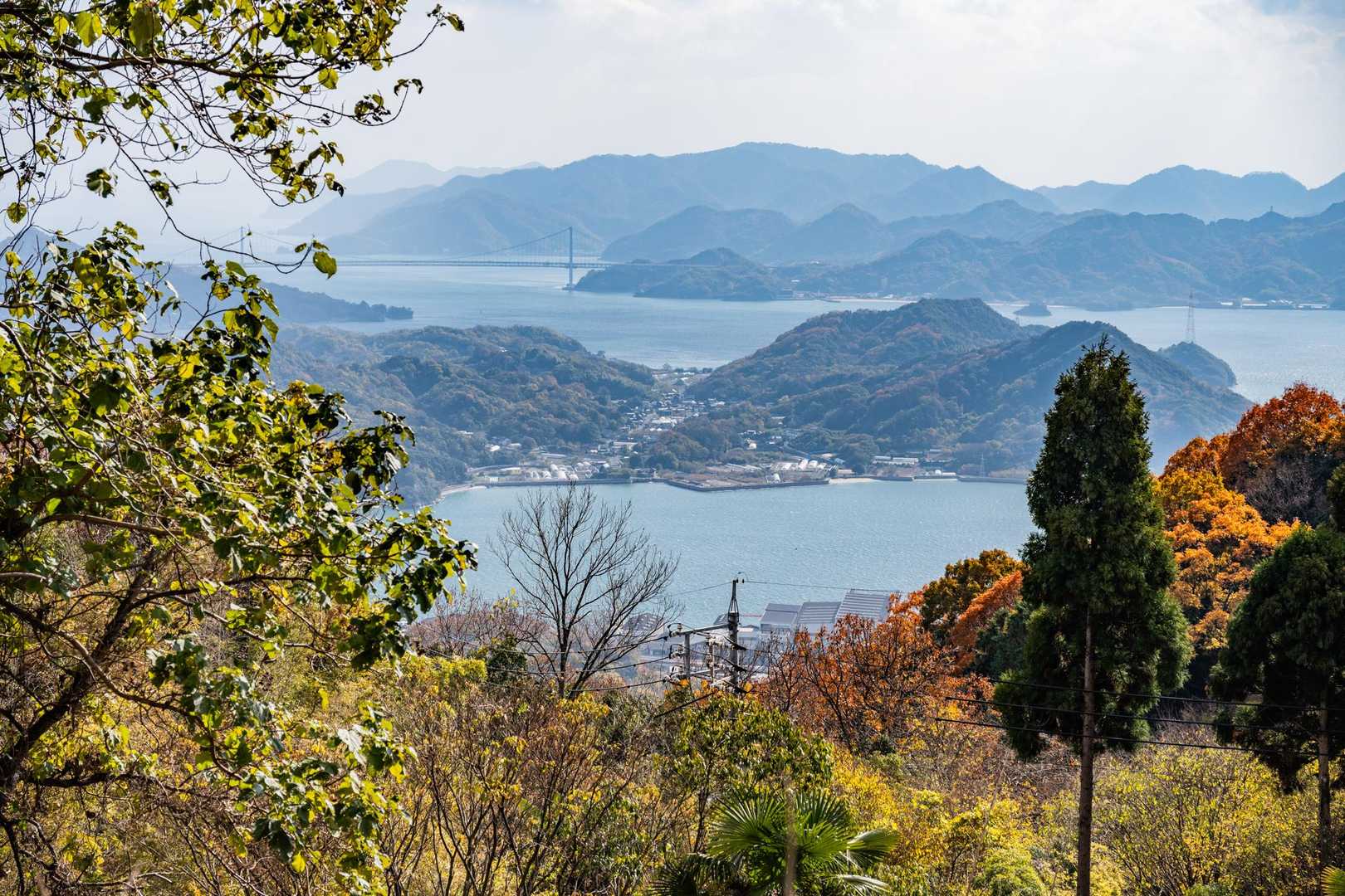 鳴滝登山口バス停-鳴滝城山-鳴滝山-鉢ヶ峰-大平山-米田山 縦走コースの写真