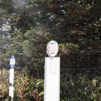麦草峠バス停で終了。
佐久平駅行は15時50分発