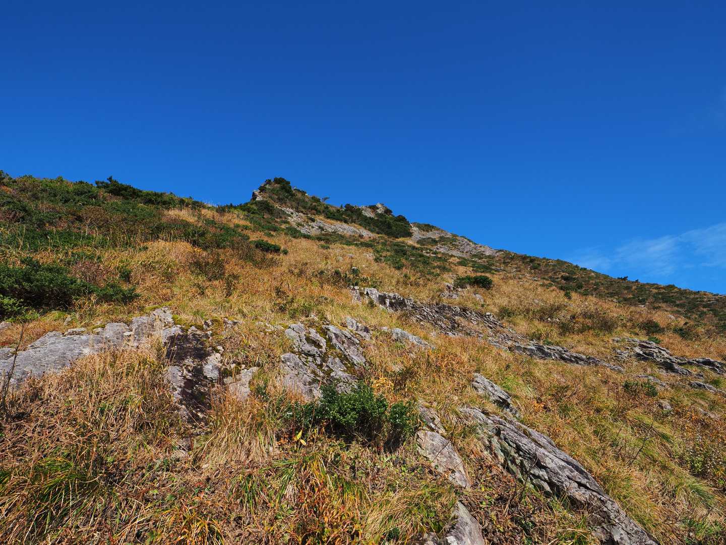 甲ヶ山-矢筈ヶ山-大休峠 周回コースの写真