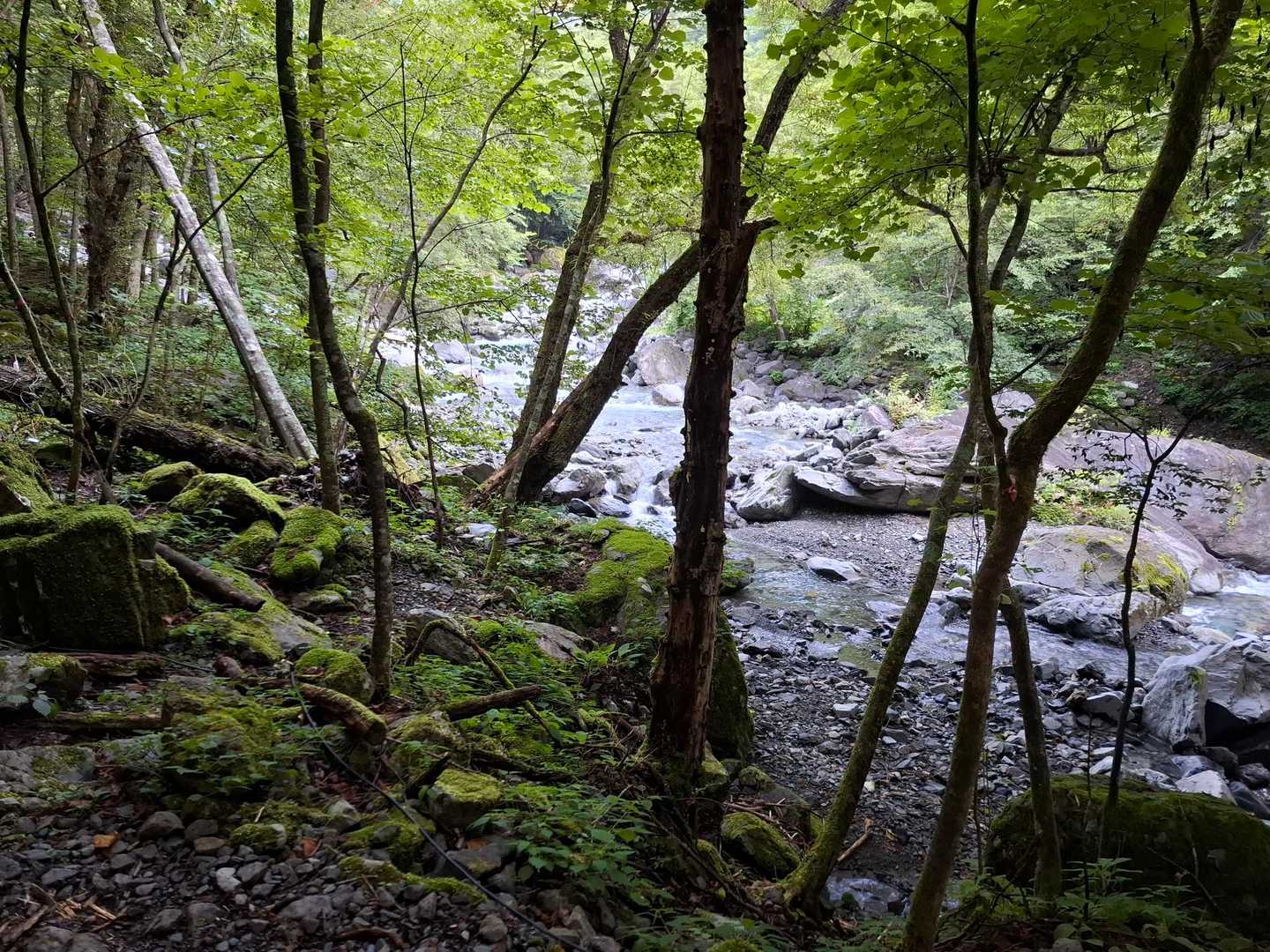 農鳥岳-農鳥岳-大門沢登山道入口-奈良田バス停 縦走コースの写真