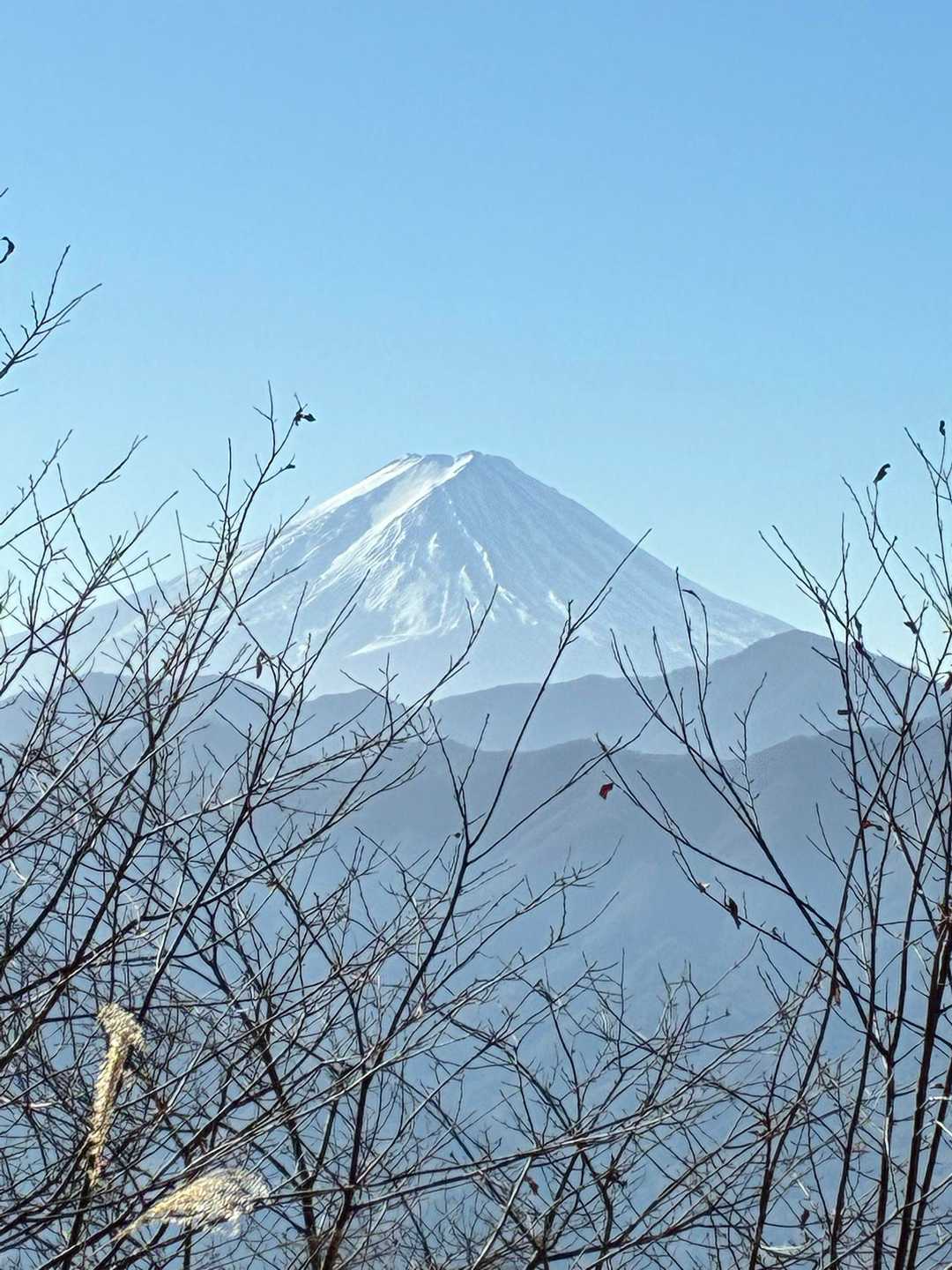 安定の富士山
