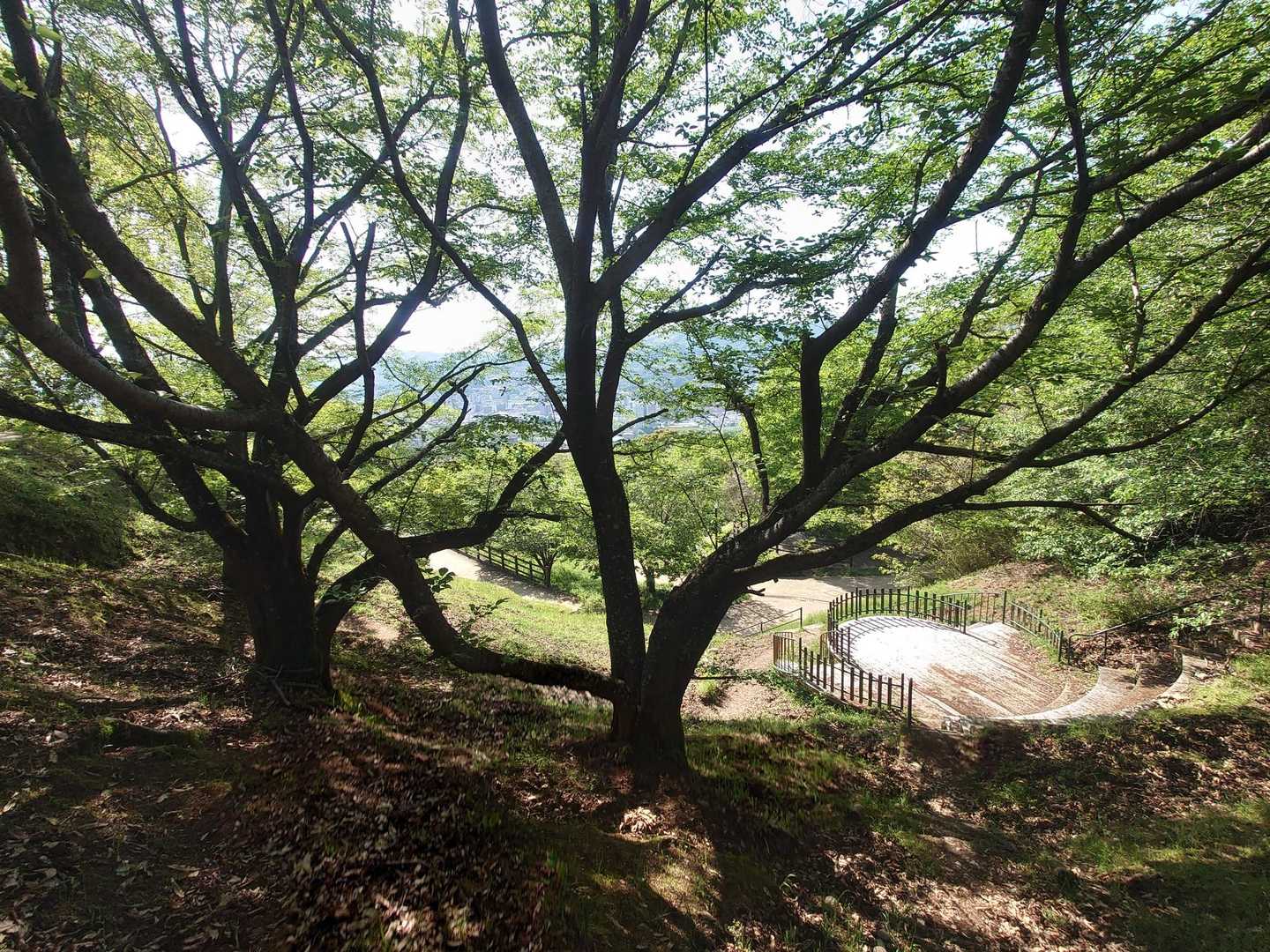 山根口登山口-尾長山-牛田山-神田山 縦走コースの写真