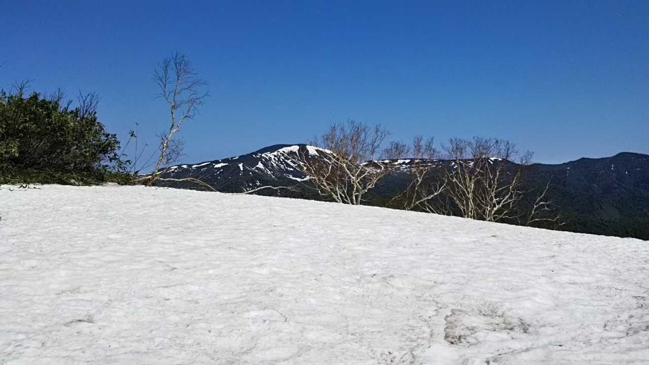 千尺高地（北海道・1153m）| 登山ルート・天気 | YAMAP / ヤマップ