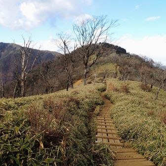 この辺りの景色好きな感じ