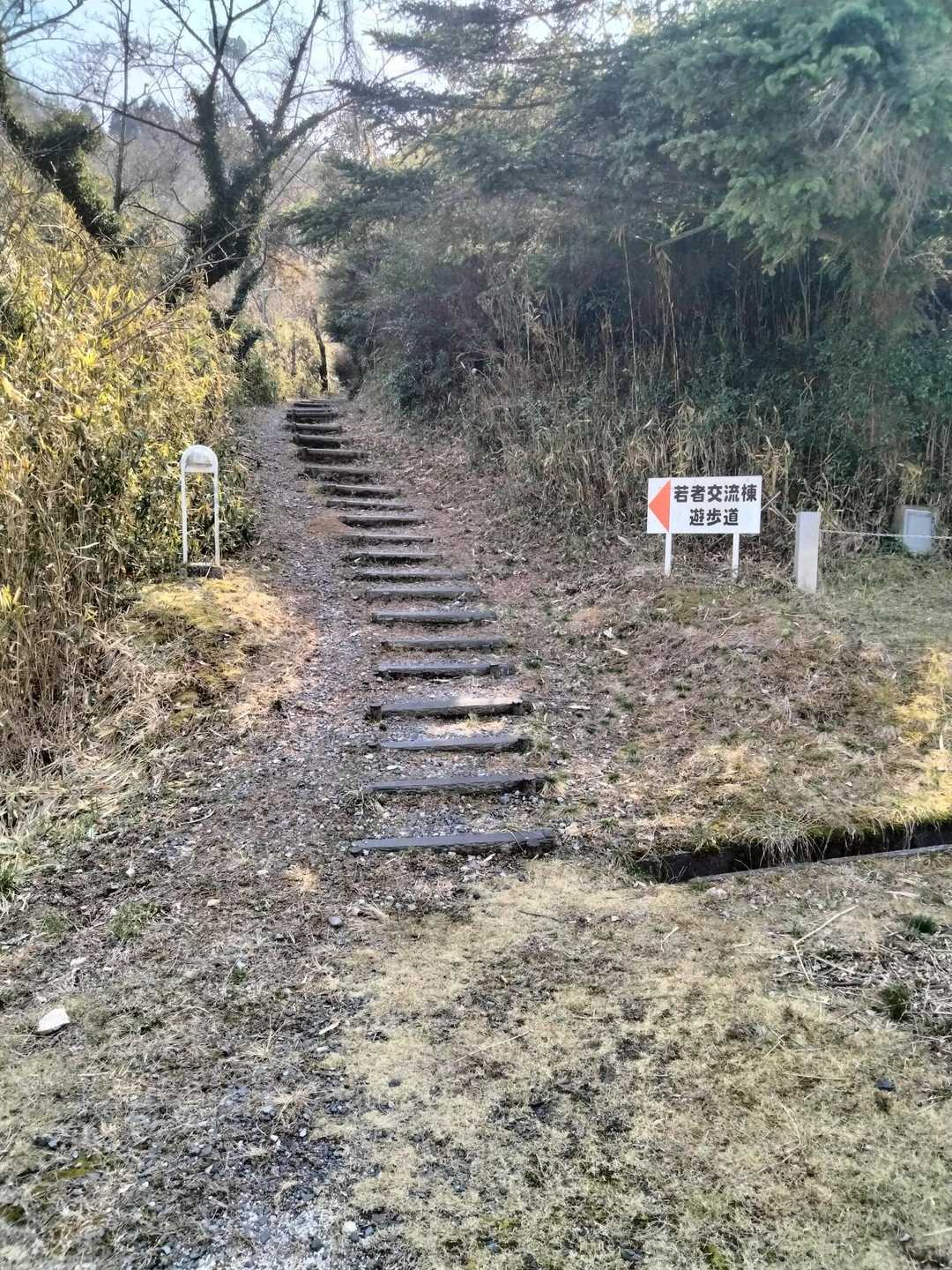 山頂まで車道ありますが、敢えて山道を選びます🏃