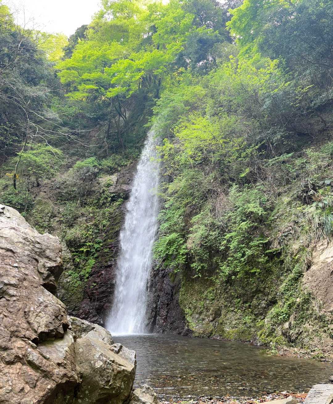 養老公園-養老の滝-三方山-小倉山-養老山 往復コースの写真