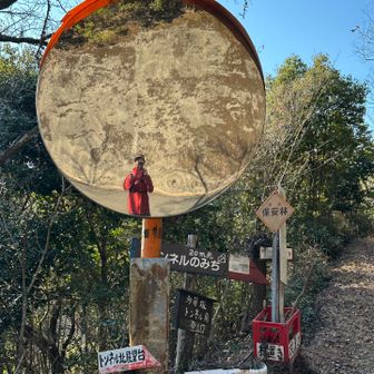 カーブミラー🪞