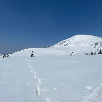 小岳目指して
誰も歩いていないところをてくてく
大岳降りてきて
振り返る