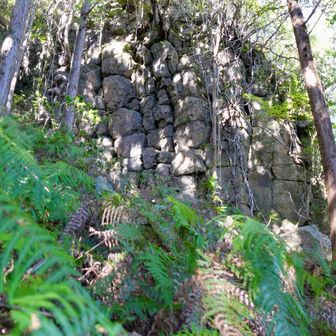 豆腐岩と呼ばれる奇岩
お城の石垣のようにも見えますね🧐