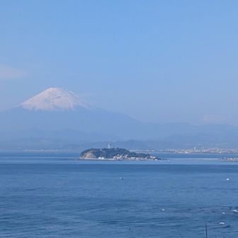長柄桜山第2古墳からの眺め
手前は江の島