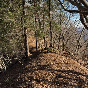 明るい尾根道。