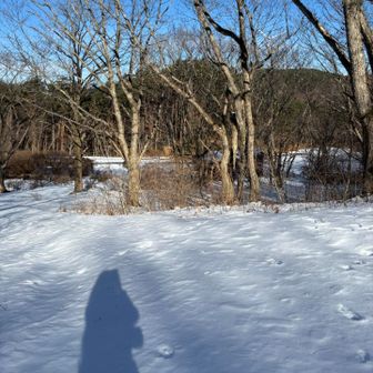ツツジが50万本もあるのだとか

無事に下山😊

花の咲く頃に来れるといいなぁ