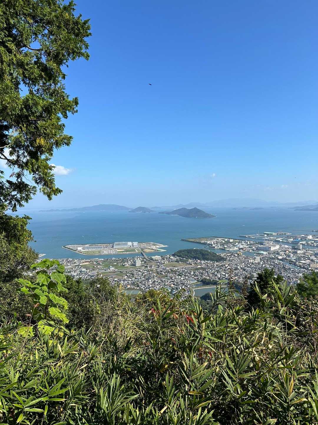 勝賀山 往復コースの写真