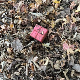 少し外れてこの辺りが堀山山頂
大倉尾根ルートは全体的に山頂碑にあまりこだわりがないようです。山頂碑あるとうれしいんですけどねぇー☺️