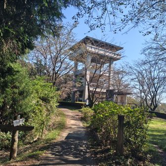 桜山展望台