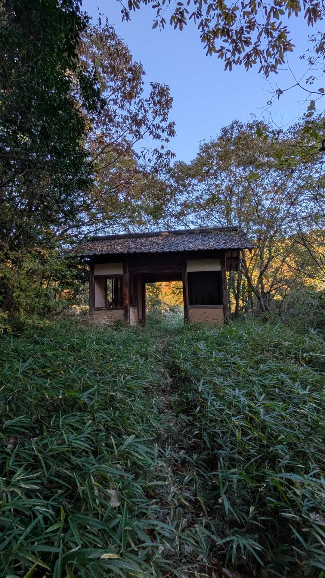 古いお寺の門？