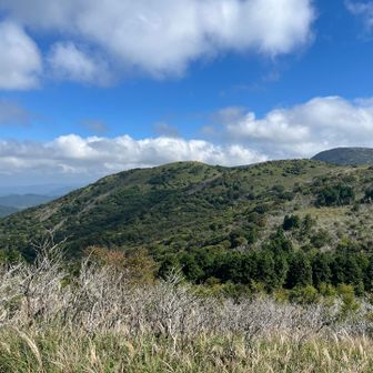 合頭山の頂上が見えてきました