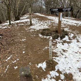 雪があるところでもこの程度