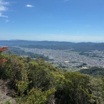 展望台からの展望。