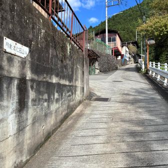 コンクリート舗装の急登からスタート。この先、計画していたルートは、水道工事のため通行止めになっていたので、少し迂回👷