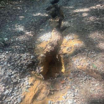 遊歩道にも水流で大きな溝が