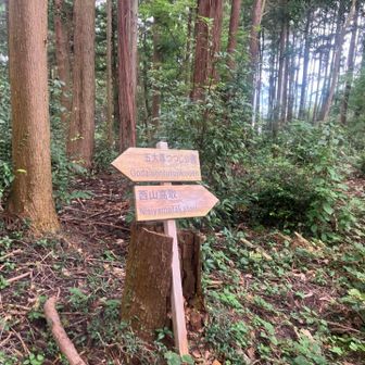 今度は西山高取へ

ここで山の名前が『西高取山』ではない事に気づく
いや、ややこしいって！