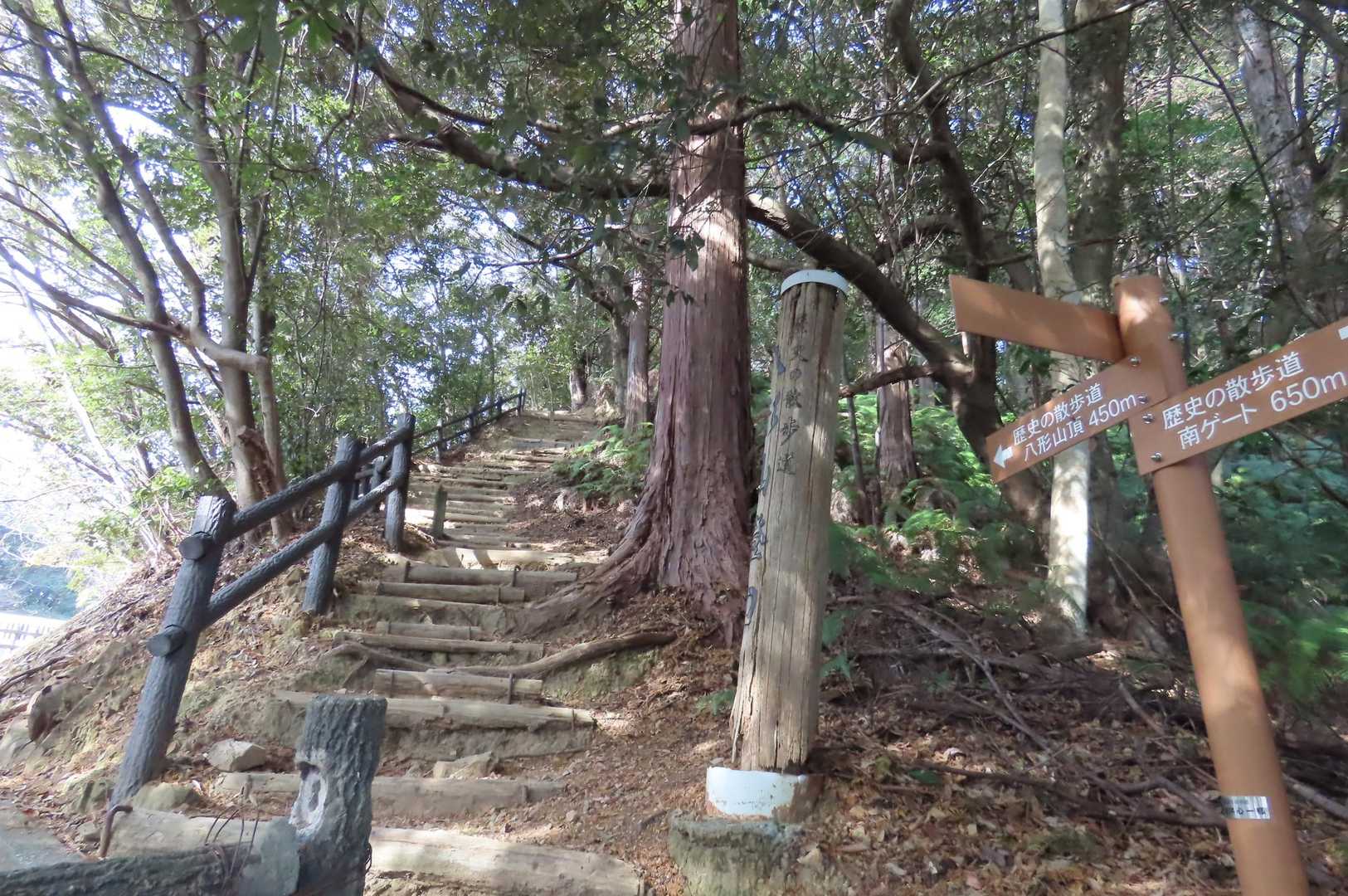 車道をしばらく歩いて登山口へ