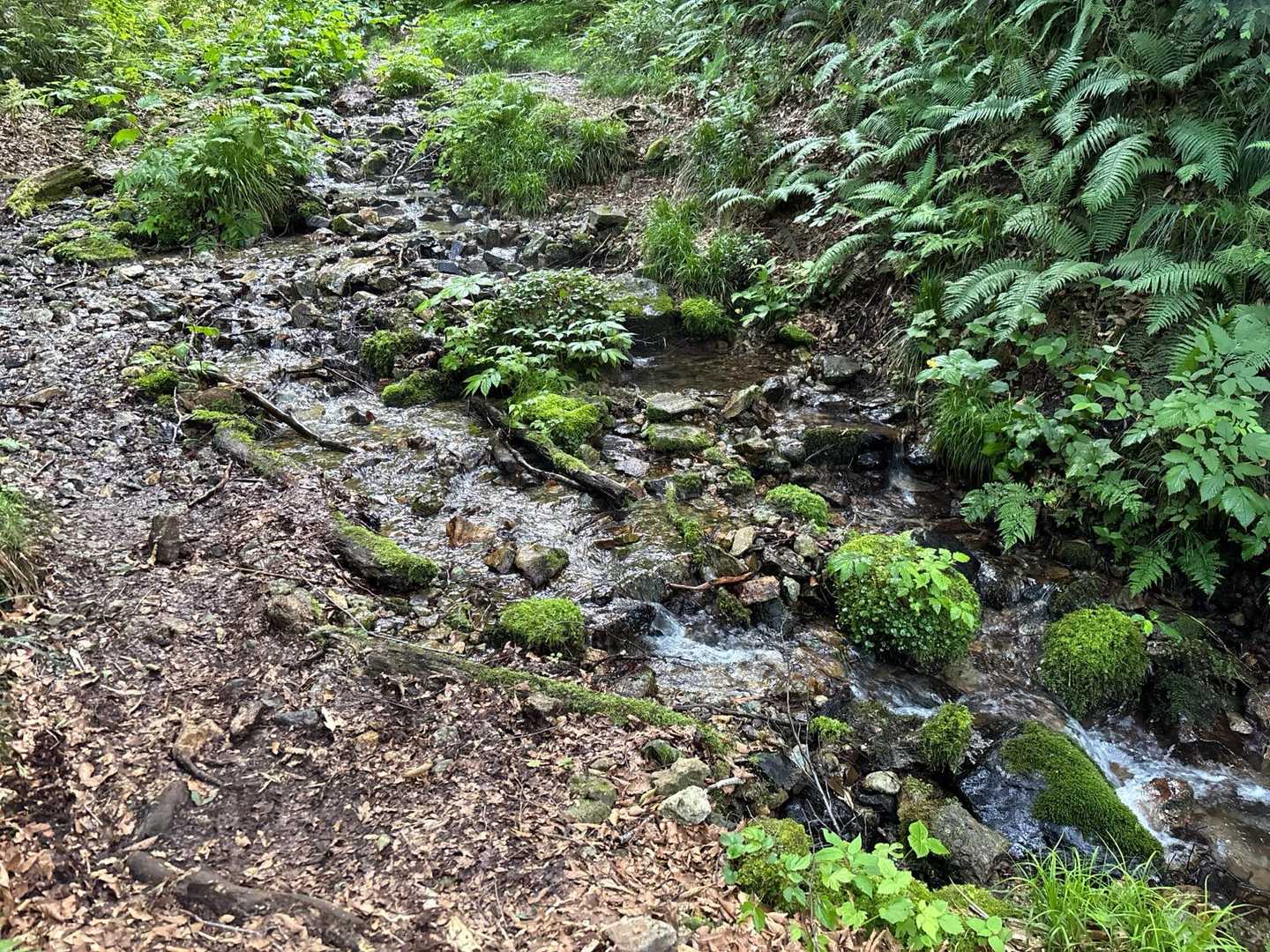 滝倉の水場