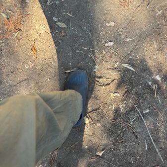 ぽんぽんと地面叩いてます。ぽんぽん🎶