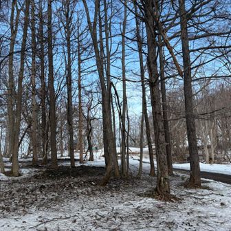 おや、車が１台停まってる