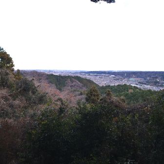 眺望がひらけて東京のビル群が見えます