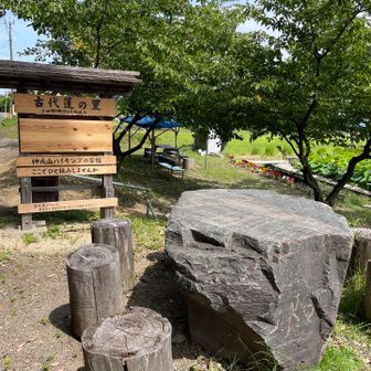 休憩できます