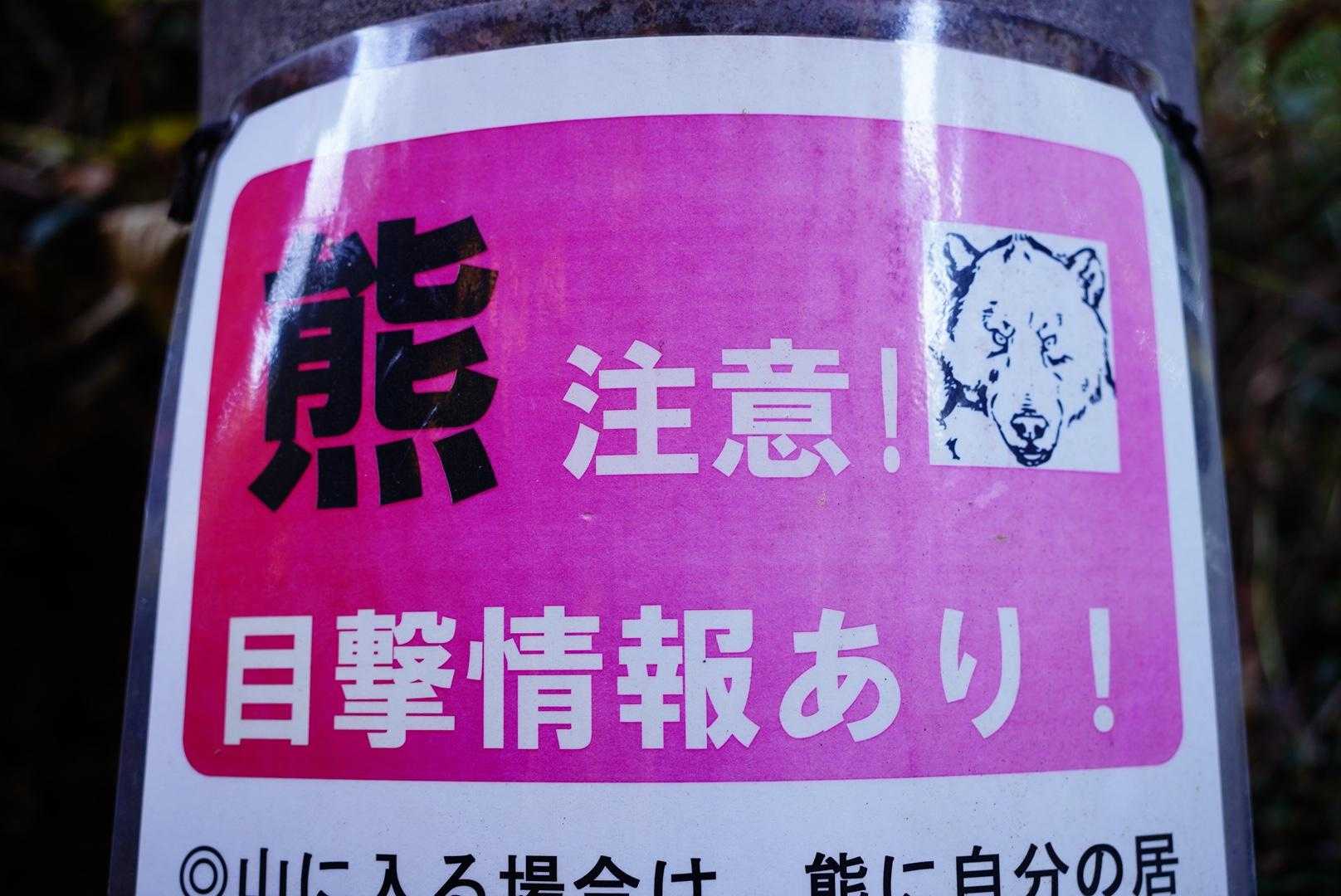 人相の悪い熊にご用心