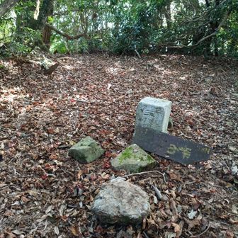 魚谷山に登頂🙌
ここからは、荒れた「細ヶ谷ルート」、道がない箇所もあるし気合いで進む必要がある。

歩くのに時間がかかるので遅い時間に通ってはダメ