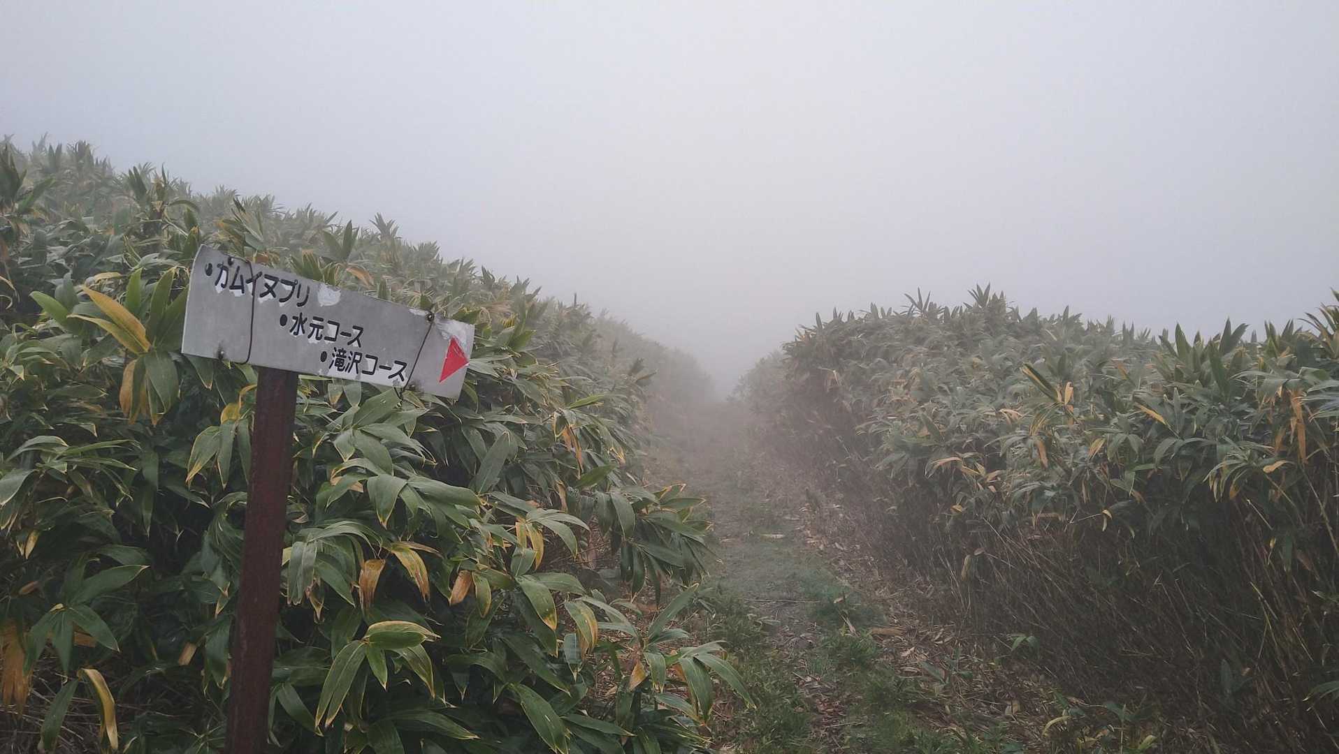 鷲別岳 往復コースの写真