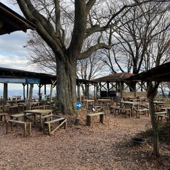 平日だし、人少ない。