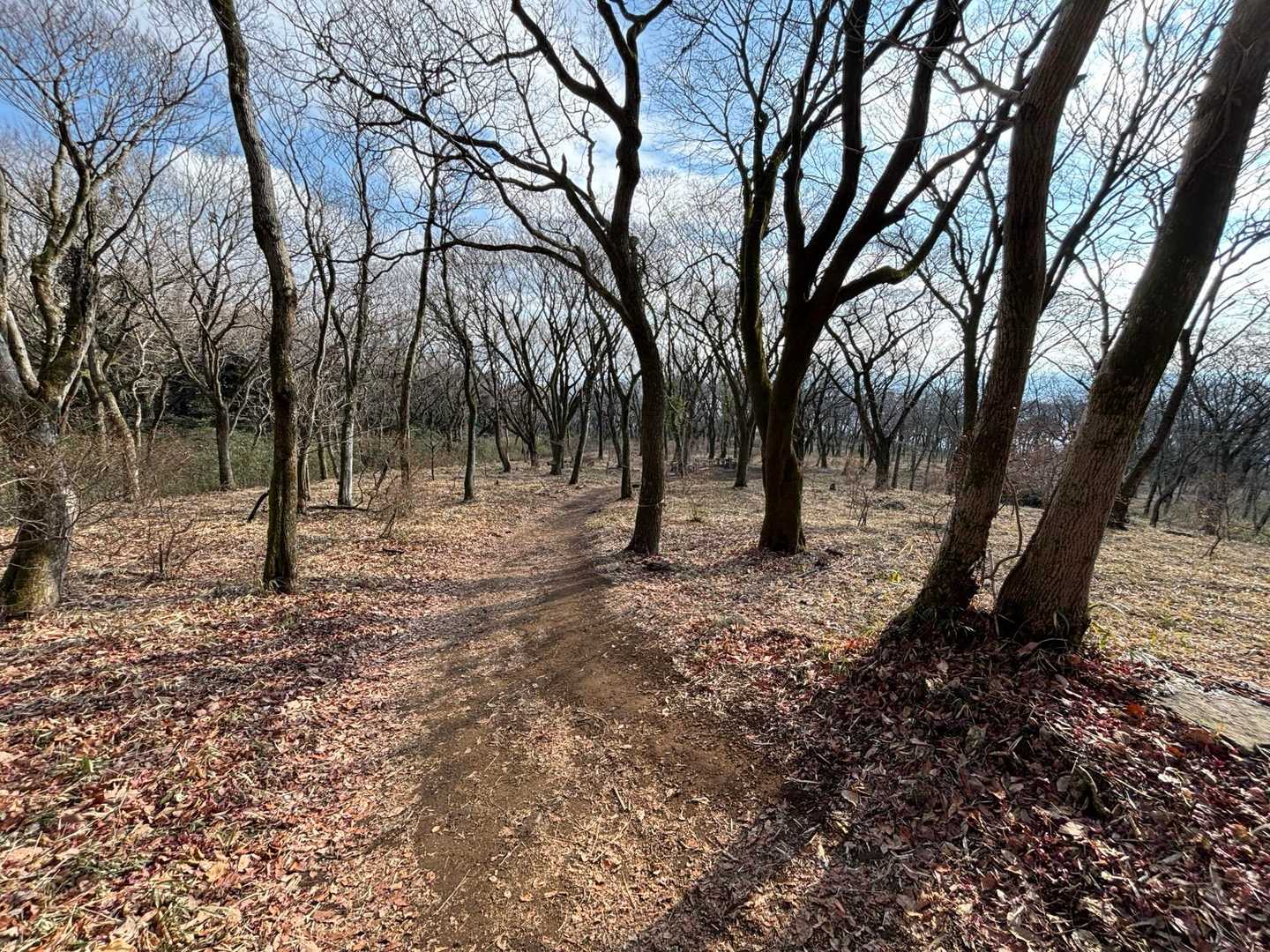 ここの広場が好き